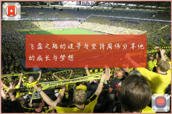 飞盘之路的追寻与坚持周伟分享他的成长与梦想