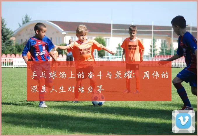 乒乓球场上的奋斗与荣耀:周伟的深度人生对话分享