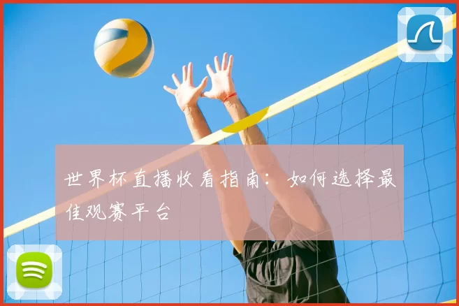 世界杯直播收看指南:如何选择最佳观赛平台