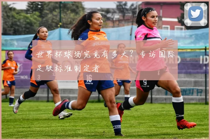 世界杯球场究竟有多大？专访国际足联标准制定者