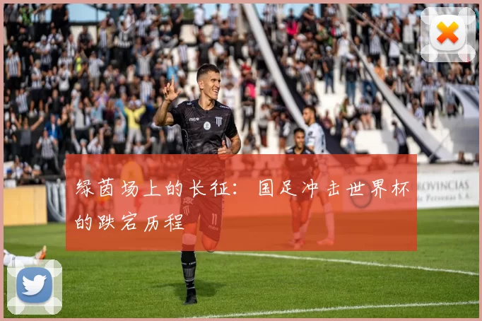 绿茵场上的长征:国足冲击世界杯的跌宕历程