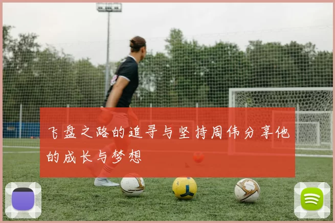 飞盘之路的追寻与坚持周伟分享他的成长与梦想