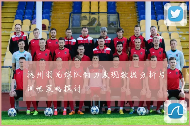 杭州羽毛球队耐力表现数据分析与训练策略探讨