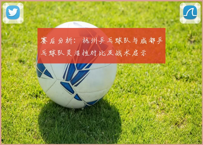 赛后分析：杭州乒乓球队与成都乒乓球队灵活性对比及战术启示