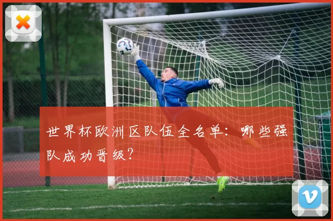 世界杯欧洲区队伍全名单：哪些强队成功晋级？