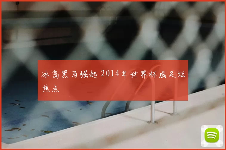 冰岛黑马崛起 2014年世界杯成足坛焦点