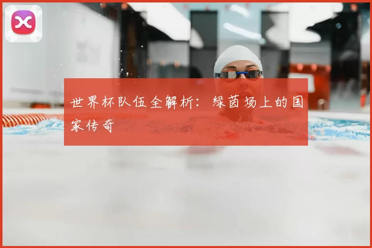 世界杯队伍全解析:绿茵场上的国家传奇
