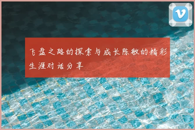 飞盘之路的探索与成长陈敏的精彩生涯对话分享