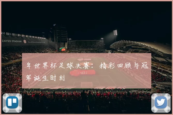 年世界杯足球决赛:精彩回顾与冠军诞生时刻