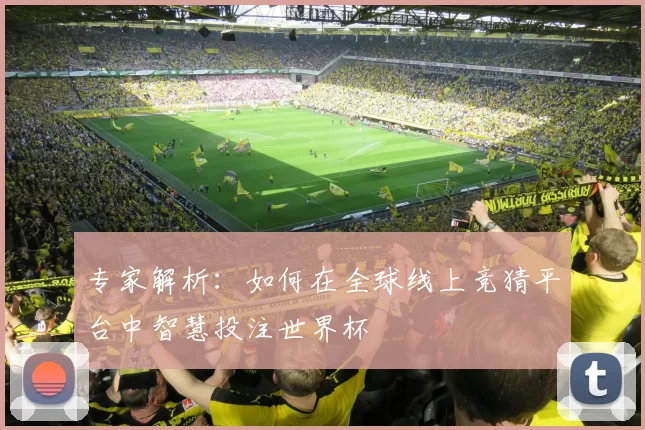 专家解析:如何在全球线上竞猜平台中智慧投注世界杯