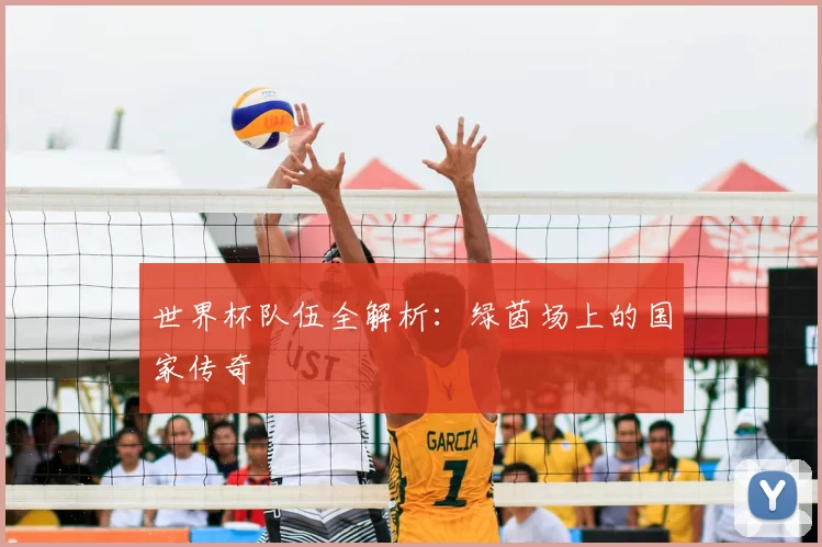 世界杯队伍全解析：绿茵场上的国家传奇