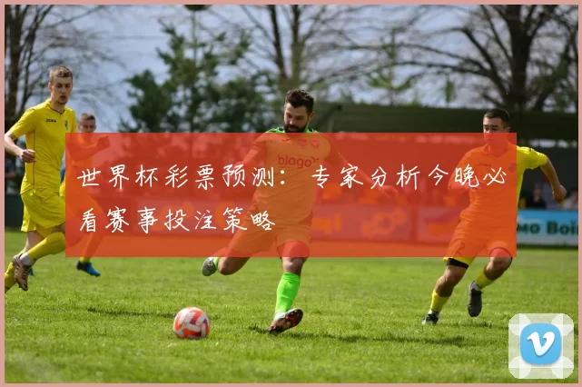 世界杯彩票预测:专家分析今晚必看赛事投注策略