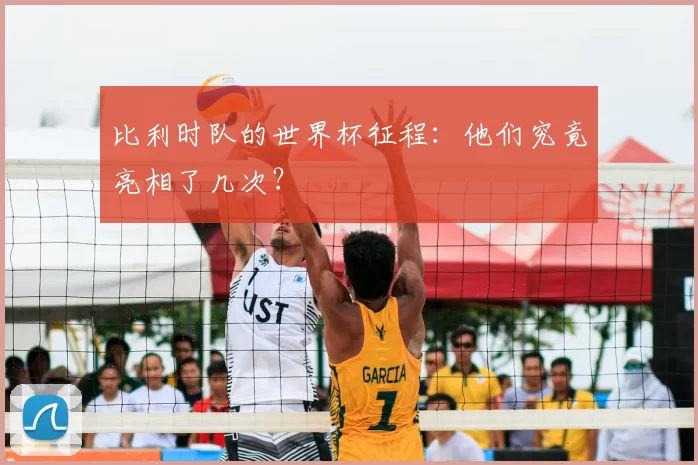 比利时队的世界杯征程：他们究竟亮相了几次？