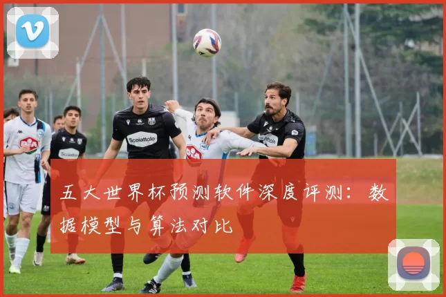 五大世界杯预测软件深度评测:数据模型与算法对比
