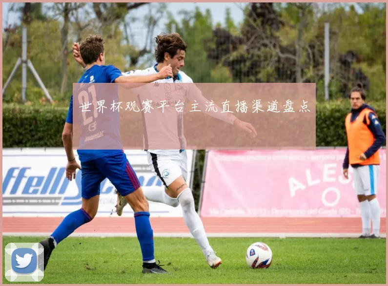 世界杯观赛平台主流直播渠道盘点