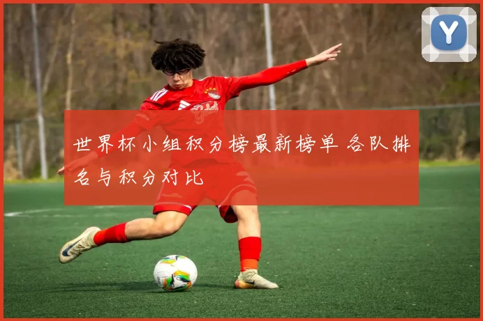 世界杯小组积分榜最新榜单 各队排名与积分对比