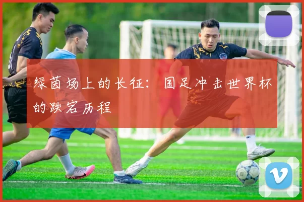 绿茵场上的长征：国足冲击世界杯的跌宕历程