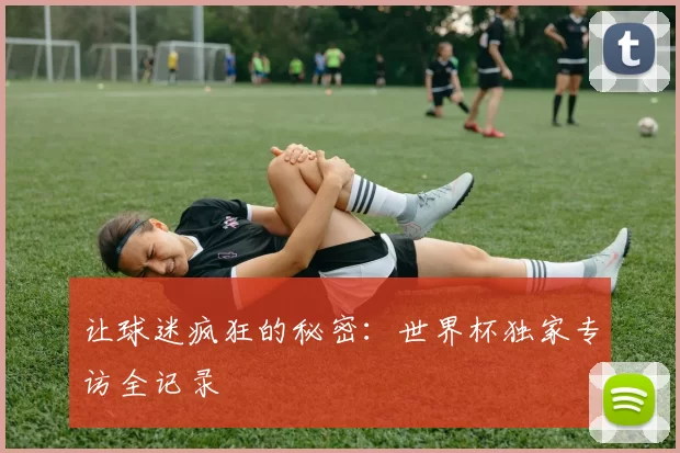 让球迷疯狂的秘密：世界杯独家专访全记录